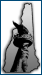 New Hampshire Liberty Alliance
